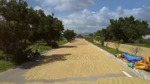 Uomo Guida Moto Erpici Riso Essiccazione Strada Asfaltata Villaggio Contro — Video Stock