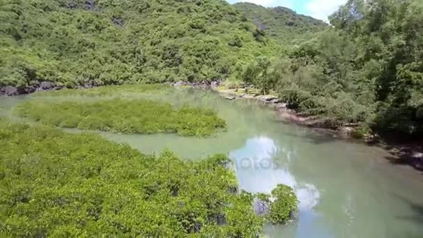 Drone Muove Sopra Pittorica Baia Asiatica Famosa Con Zona Naturale — Video Stock