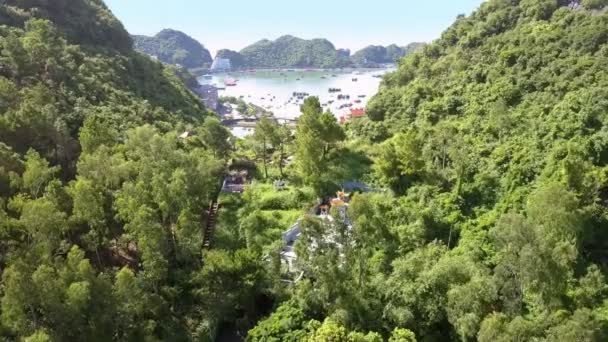 Drone Leci Duża Wzgórza Pokryte Roślinnością Tropikalną Przez Miasto Szeroki — Wideo stockowe