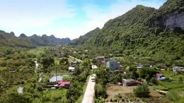 Flycam Move Por Trás Árvores Mostra Cidade Asiática Lados Estrada — Vídeo de Stock