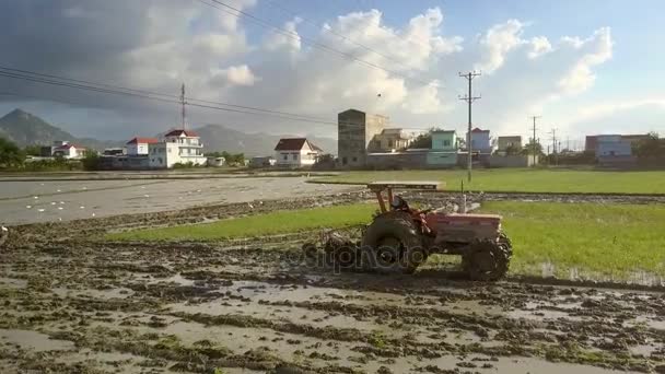 2017年11月26日 农夫在拖拉机犁耕长的浇灌的领域在接近的路反对村庄大厦剪影在烈日下在芽庄11月26日在越南芽庄 — 图库视频影像