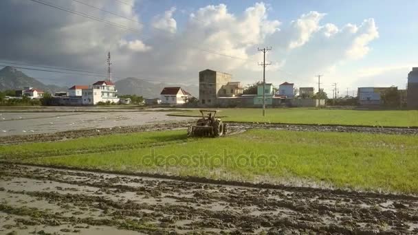 村の家や穀物をついばむ水の上に白い鳥座るに対して湿式フィールドの後方リフトすきドライブ トラクター — ストック動画