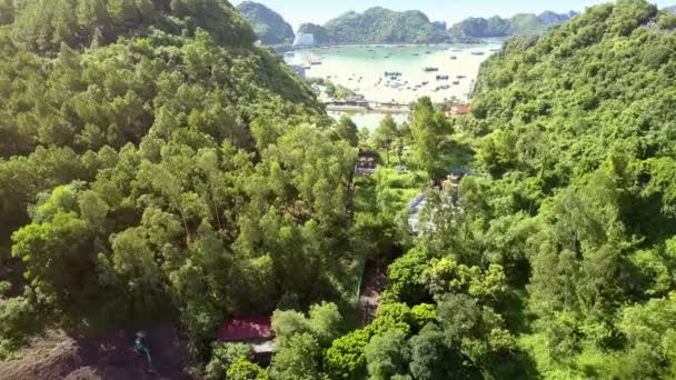Flycam Yeşil Tepelerin Arasında Antik Budist Tapınağı Karşısında Modern Şehir — Stok video