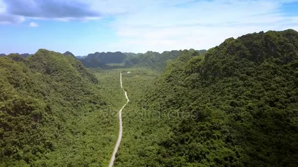 Fantastique Vue Aérienne Vallée Verte Traversée Par Route Moderne Parmi — Video