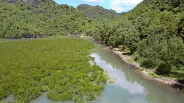 Flycam Déplace Sur Magnifique Baie Asiatique Célèbre Avec Zone Naturelle — Video