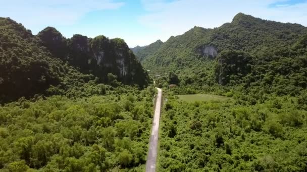 Drone Schodzi Drogi Asfaltowej Wśród Rozległe Zielone Doliny Między Leśnych — Wideo stockowe