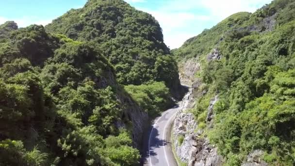 Kameran Flyger Över Stora Gamla Berg Täckta Tropisk Skog Och — Stockvideo