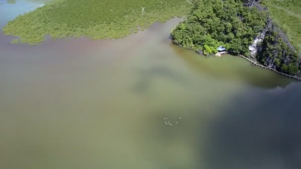 Letecký Pohled Zelené Klidné Zátoce Vodu Skalnatý Ostrov Pobřeží Bílých — Stock video