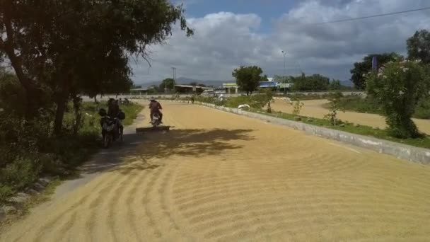 Hombre Sienta Transporte Sombra Bajo Árbol Colega Conduce Moto Mezclando — Vídeos de Stock