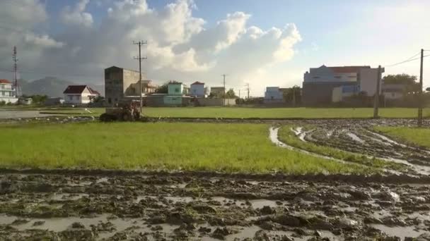 Ferntraktor Pflügt Moorfeld Für Reisanbau Gegen Dorfgebäude Weiße Vögel Fliegen — Stockvideo