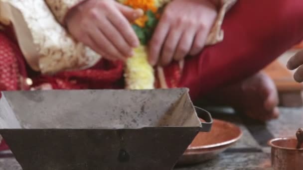 Closeup Indian Woman Assistant Prepares Fireplace Purification Ritual Newlyweds — Stock Video