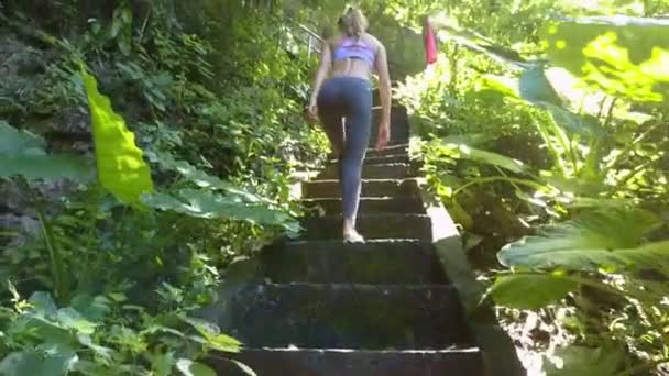 背面视图苗条的金发碧眼的女孩与长的马尾在野生热带植物之间的老石台阶反对阳光 — 图库视频影像