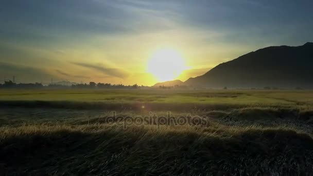 明亮的太阳盘在无边的蓝天升起在梦幻般的风景与稻田和小山剪影 — 图库视频影像