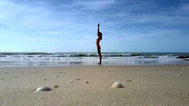 Sidan Visa Atletisk Flicka Ljusa Baddräkt Gör Yoga Förändrade Positioner — Stockvideo