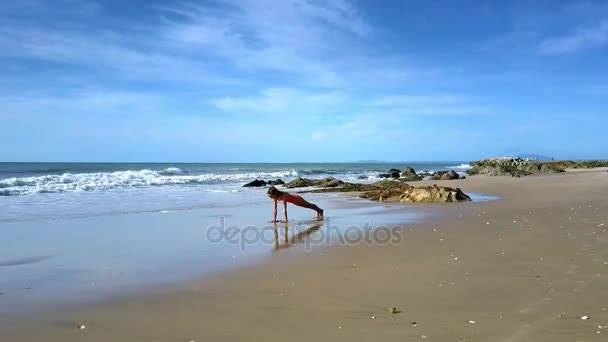 Jonge Vrouw Houdt Yoga Pose Chaturanga Dandasana Tegen Rustige Oceaan — Stockvideo