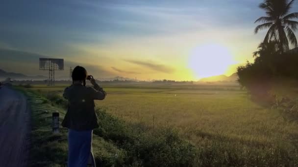 Sylwetka Dziewczyna Warkoczykami Wyróżnia Road Zdjęcia Złotego Słońca Nad Niekończące — Wideo stockowe