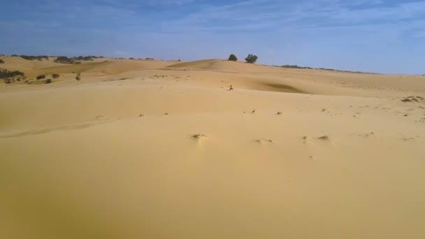 Sand Hügel Wüstenlandschaft Luftaufnahme Mit Kleiner Frauenfigur Und Fernen Bäumen — Stockvideo