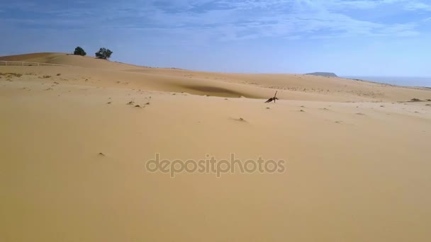 Hermosa Vista Aérea Mujer Deportiva Hace Tablón Lateral Arena Caliente — Vídeo de stock