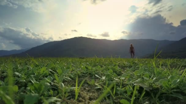 Mädchensilhouette Macht Yoga Auf Grünem Pflanzenfeld Gegen Dunklen Hügel Unter — Stockvideo