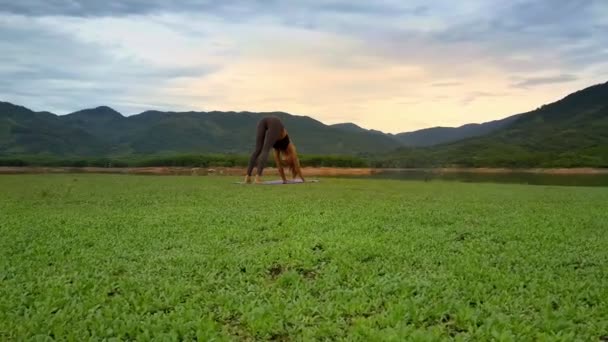 Flycam Beweegt Rond Atletische Meisje Doen Yoga Pose Mukha Shavanasana — Stockvideo