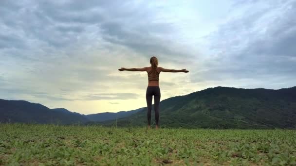 Gadis Atletis Pandangan Drone Berdiri Yoga Pose Tadasana Terhadap Lanskap — Stok Video