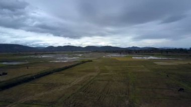 Hava panorama sınırsız pirinç tarlaları su orman hills kasvetli gökyüzü altında kırsal alanda karşı ile sular altında
