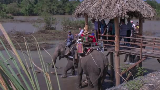 Holak Vietnam Gennaio 2018 Turisti Europei Scendono Dalla Schiena Decorata — Video Stock