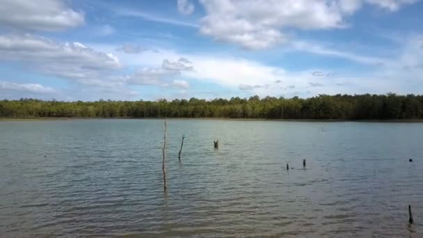 Pictorial Aerial Panorama Large Green Lake Rippling Water Distant Thick — Stock Video