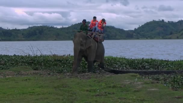 Holak ベトナム 2018 オレンジ色のベストの男性観光客 Holak で静かな川山と夕方の空に対して強い象に乗る — ストック動画