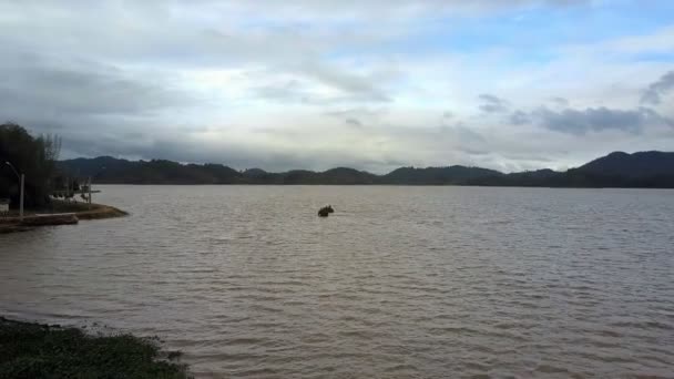 Upper View Local People Entertain Tourists Riding Elephants Lake Middle — Stock Video