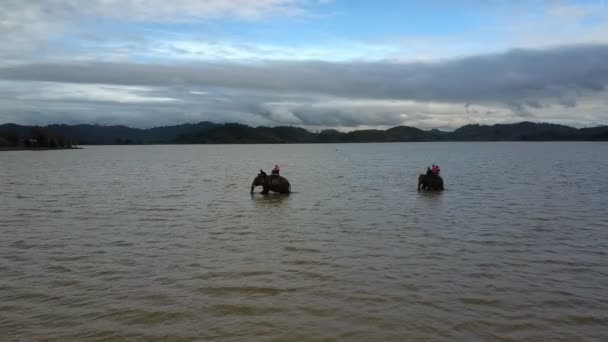 Panoramic View People Ride Elephants Shallow Lake Hilly Landscape Pictorial — Stock Video