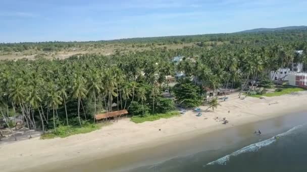 Vuelo Pictórico Sobre Alta Palmera Con Edificios Hotel Largo Playa — Vídeos de Stock