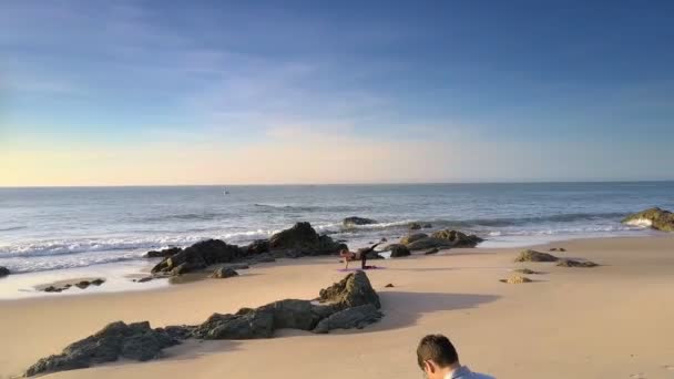 Pictorial Upper View Boundless Azure Ocean Waves Running Beach Girl — Stock Video