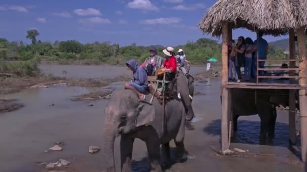 Голак Вьетнам Январь 2018 Европейские Туристы Садятся Слона Специального Павильона — стоковое видео