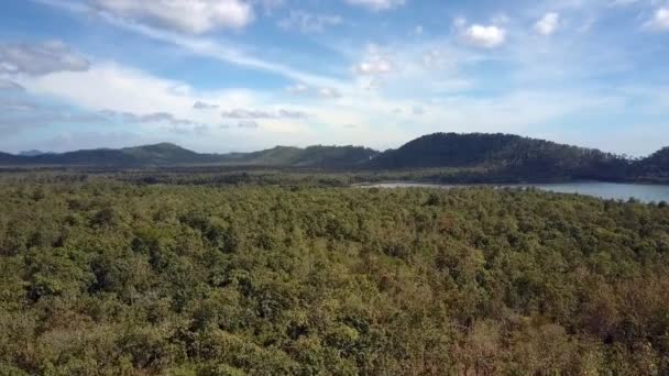 Muhteşem Panoramik Manzarası Sakin Göl Arkasında Derin Orman Sınırsız Mavi — Stok video