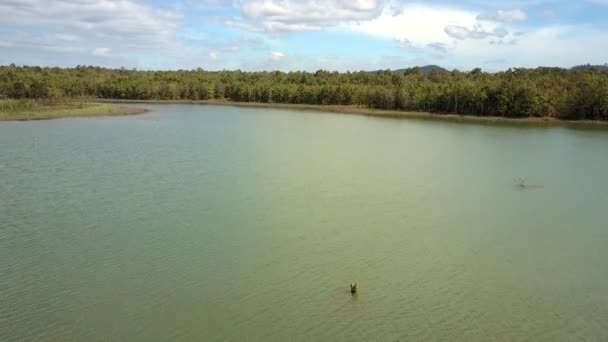 Maravillosa Vista Aérea Gran Lago Verde Tranquilo Con Bosque Profundo — Vídeos de Stock