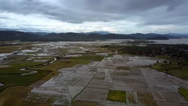 Flight Vast Separated Flooded Rice Plots Hilly Land Boundless Dark — Stock Video