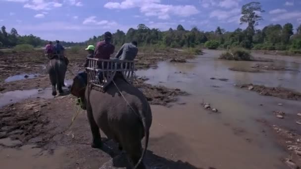 Holak Vietnam Januari 2018 Camera Volgt Toeristen Ruggen Van Olifant — Stockvideo