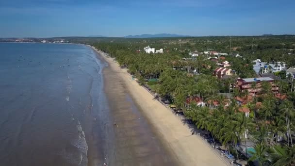 美丽的鸟瞰现代酒店周围有异国风情的棕榈树 位于旅游城市的海滨沿岸 — 图库视频影像