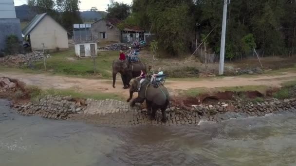 Holak Vietnam Januari 2018 Luchtfoto Olifanten Met Lange Schachten Komen — Stockvideo