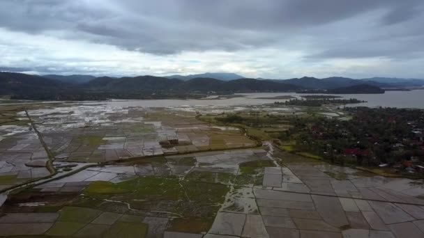 Bovenste Panoramisch Uitzicht Gedrenkt Rijst Plantages Buurt Van Dorp Groot — Stockvideo