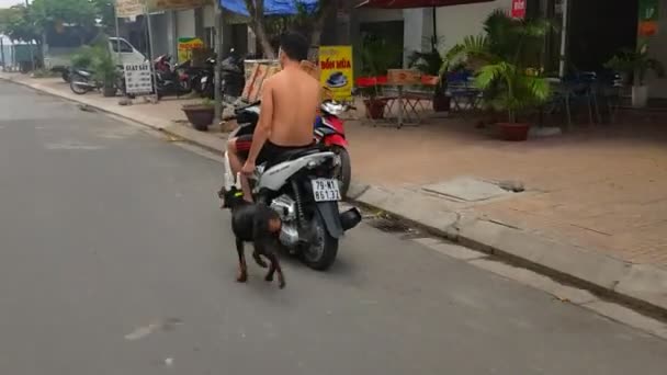 Nha Trang ベトナム 2018 裏面表示のショート パンツで裸の胴体を持つベトナム男町通りスクーターに乗るし ひもにつないで犬をニャチャンで 日近く実行 — ストック動画