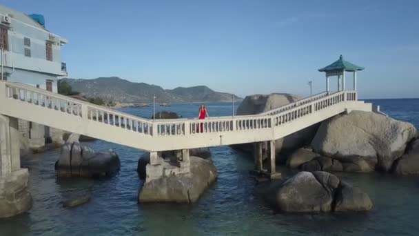 Zoom Blonde Fille Aux Cheveux Longs Sur Pont Pierre Blanche — Video