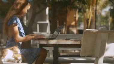 laptop klavye taş masasında gevşek akan saçlı sevimli kız çalışır ve parkta bankta kırmızı kedi yalıyor