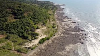 çarpıcı panoramik sınırsız sakin deniz egzotik sahil tropikal bitkilerle kaplı yıkar