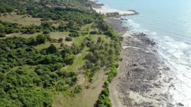 Hava panorama sakin okyanus dalgaları yıkama gri kirli yere plaj tropikal bitki ile yeşil egzotik kıyısından