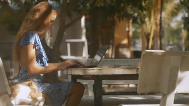 日陰で赤猫のベンチに座ってテーブルでコンピューターのブロンドの緩い流れる髪のタイプとかわいい若い女性 — ストック動画