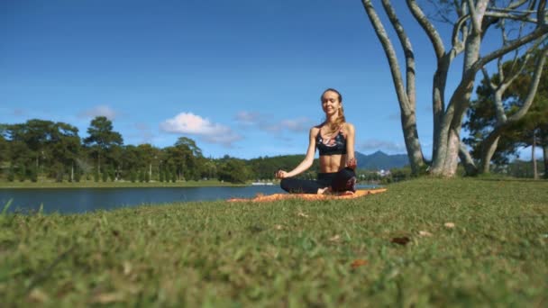 Chica Cabellera Sienta Pose Yoga Padmasana Sobre Hierba Verde Tronco — Vídeos de Stock