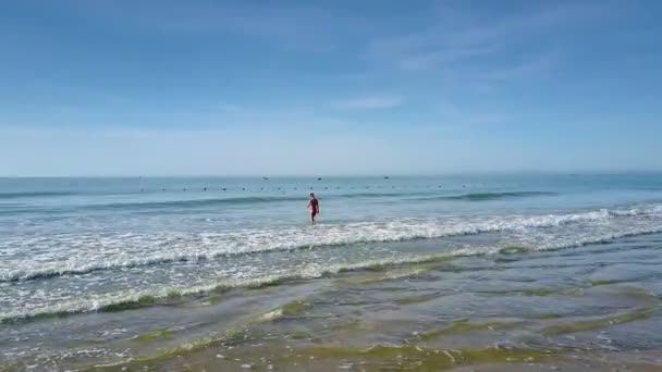 梦幻般的风景单夫人剪影入海波浪反对天空合并与海在地平线上 — 图库视频影像