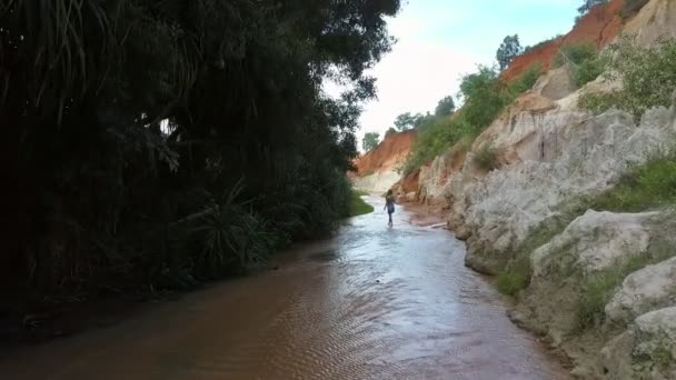 Hund Überquert Seichtes Bachwasser Zwischen Hohen Sandsteinhügeln Und Grünen Pflanzen — Stockvideo